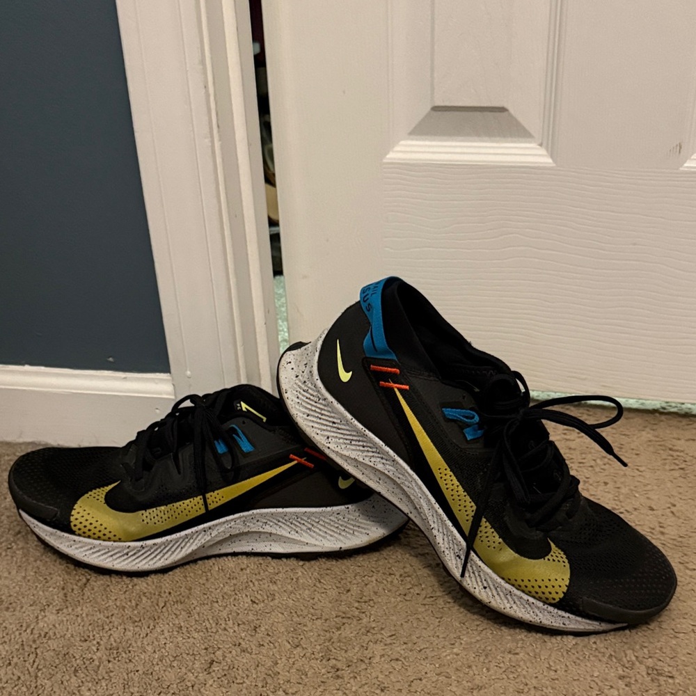 Nike Black and Gold Trail Pegasus
